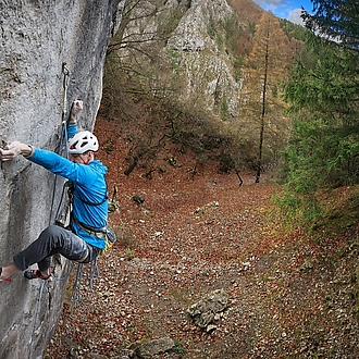 Gekón: 📸 Roman Ripka